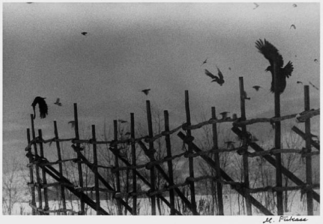 artwork_images_376_474211_masahisa-fukase1