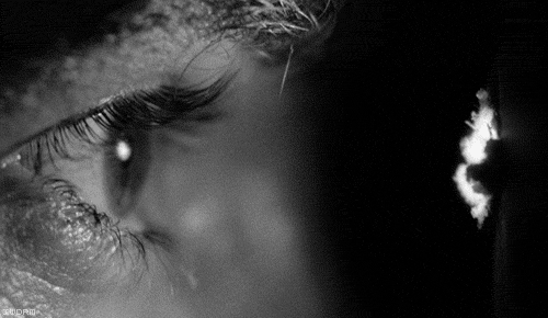 tumblr_lmgy48xPIN1qe0eclo1_r1_500