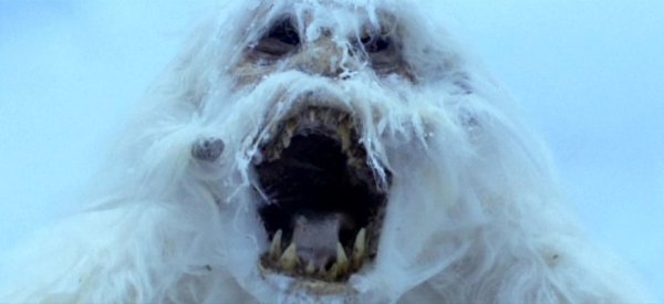 Wampa_head