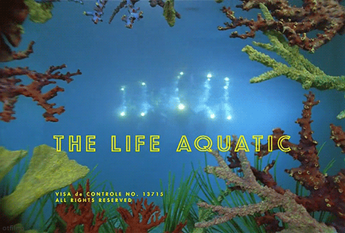 Life aquatic